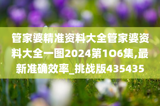 管家婆精准资料大全管家婆资料大全一图2024第1O6集,最新准确效率_挑战版435435