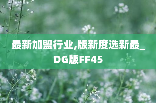 最新加盟行业,版新度选新最_DG版FF45