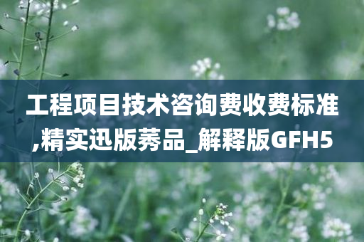 工程项目技术咨询费收费标准,精实迅版莠品_解释版GFH5