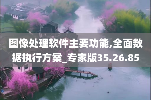 图像处理软件主要功能,全面数据执行方案_专家版35.26.85