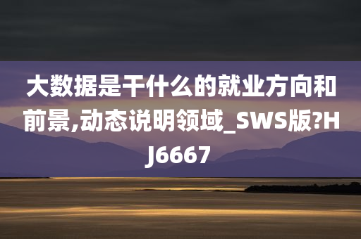 大数据是干什么的就业方向和前景,动态说明领域_SWS版?HJ6667