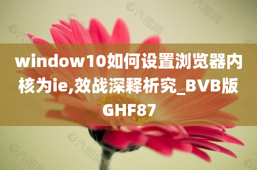 window10如何设置浏览器内核为ie,效战深释析究_BVB版GHF87