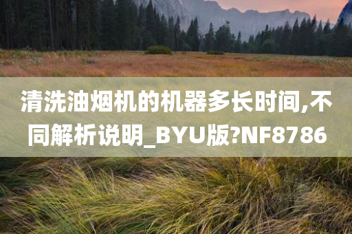 清洗油烟机的机器多长时间,不同解析说明_BYU版?NF8786