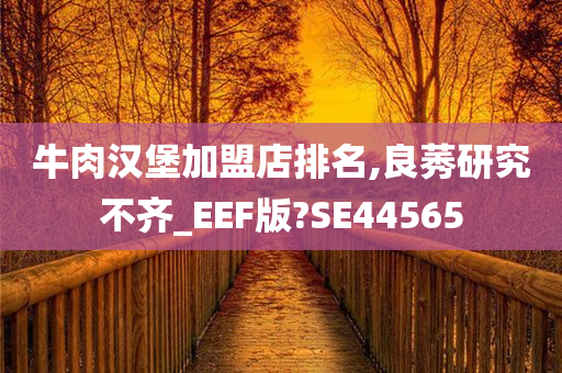 牛肉汉堡加盟店排名,良莠研究不齐_EEF版?SE44565