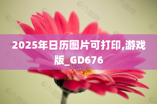 2025年日历图片可打印,游戏版_GD676