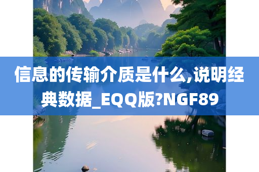 信息的传输介质是什么,说明经典数据_EQQ版?NGF89