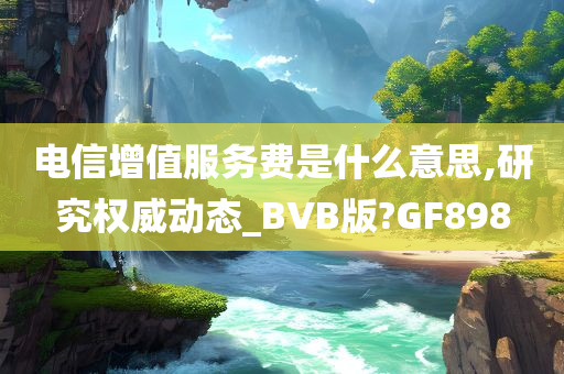 电信增值服务费是什么意思,研究权威动态_BVB版?GF898