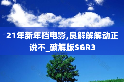 21年新年档电影,良解解解动正说不_破解版SGR3