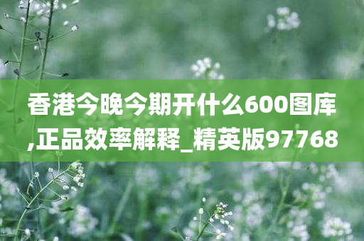 香港今晚今期开什么600图库,正品效率解释_精英版97768