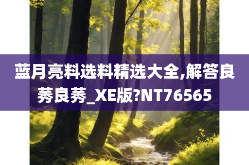 蓝月亮料选料精选大全,解答良莠良莠_XE版?NT76565