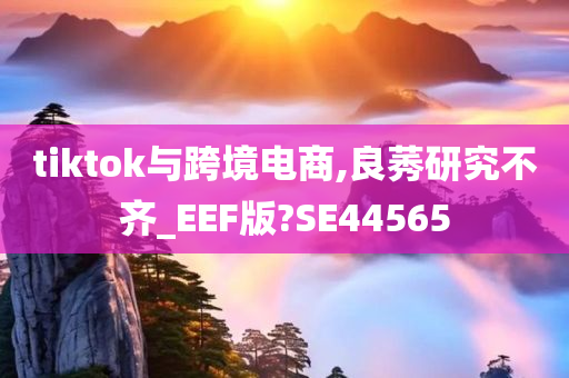 tiktok与跨境电商,良莠研究不齐_EEF版?SE44565