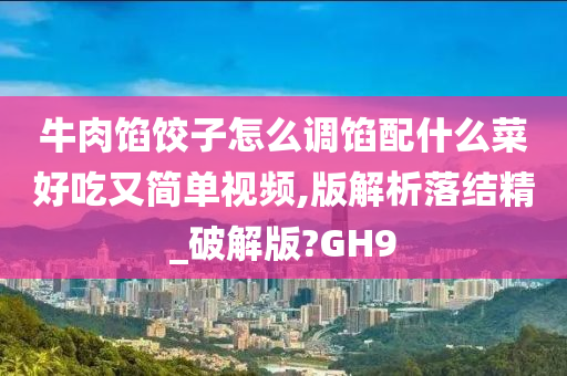 牛肉馅饺子怎么调馅配什么菜好吃又简单视频,版解析落结精_破解版?GH9