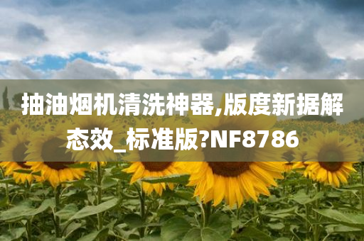 抽油烟机清洗神器,版度新据解态效_标准版?NF8786