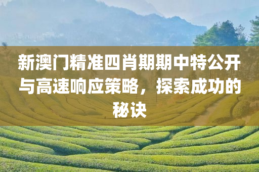 新澳门精准四肖期期中特公开与高速响应策略，探索成功的秘诀