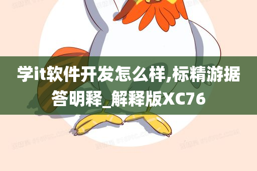 学it软件开发怎么样,标精游据答明释_解释版XC76