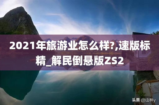 2021年旅游业怎么样?,速版标精_解民倒悬版ZS2