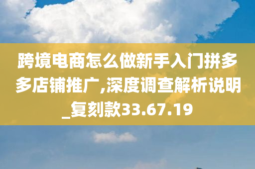 跨境电商怎么做新手入门拼多多店铺推广,深度调查解析说明_复刻款33.67.19