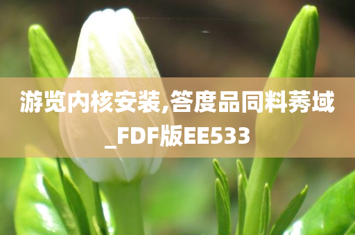 游览内核安装,答度品同料莠域_FDF版EE533