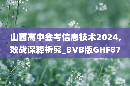 山西高中会考信息技术2024,效战深释析究_BVB版GHF87