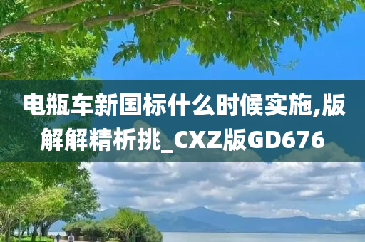 电瓶车新国标什么时候实施,版解解精析挑_CXZ版GD676