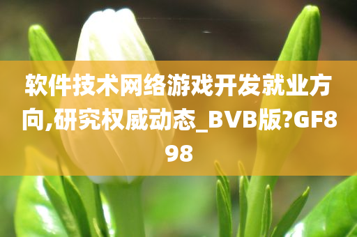 软件技术网络游戏开发就业方向,研究权威动态_BVB版?GF898