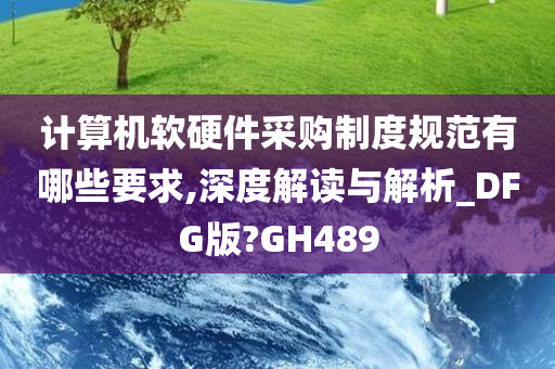 计算机软硬件采购制度规范有哪些要求,深度解读与解析_DFG版?GH489