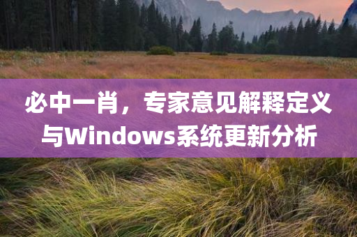 必中一肖，专家意见解释定义与Windows系统更新分析