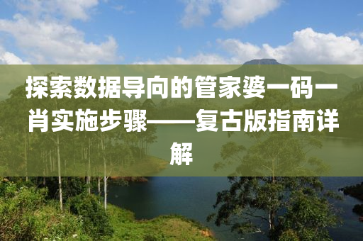 探索数据导向的管家婆一码一肖实施步骤——复古版指南详解