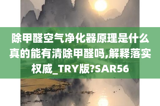 除甲醛空气净化器原理是什么真的能有清除甲醛吗,解释落实权威_TRY版?SAR56