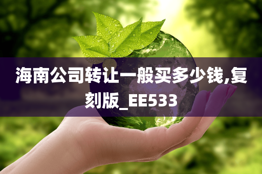 海南公司转让一般买多少钱,复刻版_EE533