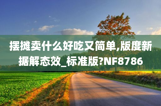 摆摊卖什么好吃又简单,版度新据解态效_标准版?NF8786