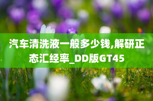 汽车清洗液一般多少钱,解研正态汇经率_DD版GT45