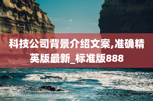 科技公司背景介绍文案,准确精英版最新_标准版888