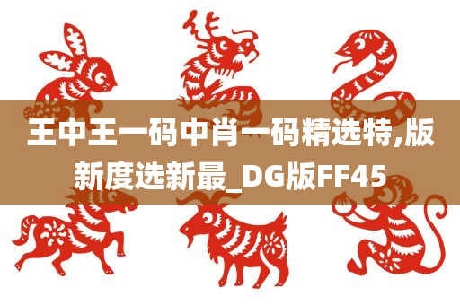 王中王一码中肖一码精选特,版新度选新最_DG版FF45