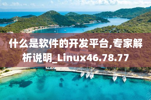 什么是软件的开发平台,专家解析说明_Linux46.78.77