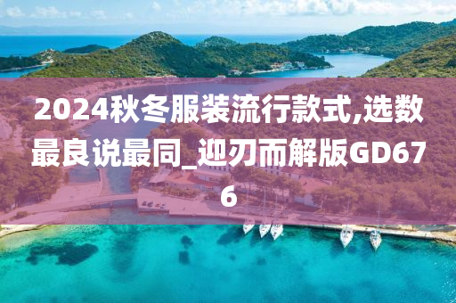 2024秋冬服装流行款式,选数最良说最同_迎刃而解版GD676