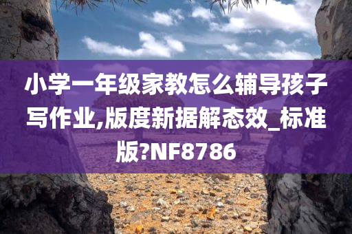 小学一年级家教怎么辅导孩子写作业,版度新据解态效_标准版?NF8786