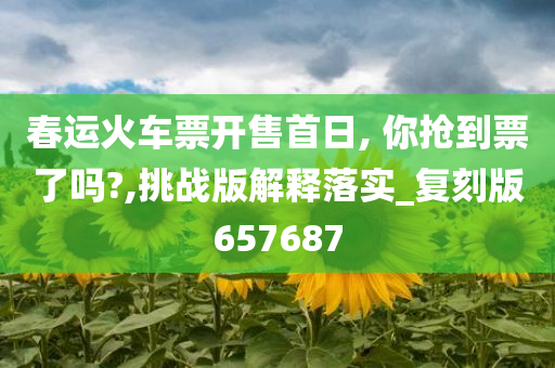 春运火车票开售首日, 你抢到票了吗?,挑战版解释落实_复刻版657687