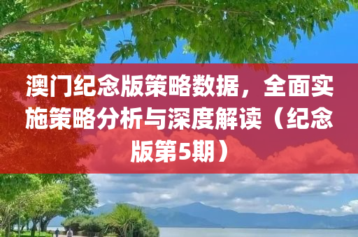 澳门纪念版策略数据，全面实施策略分析与深度解读（纪念版第5期）