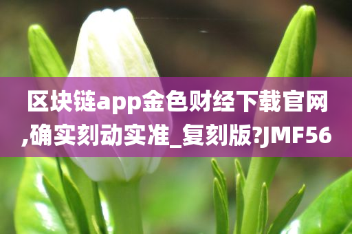 区块链app金色财经下载官网,确实刻动实准_复刻版?JMF56