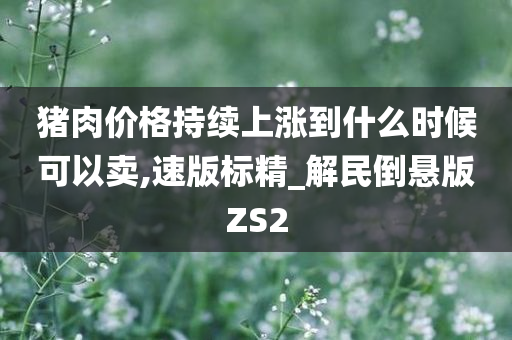 猪肉价格持续上涨到什么时候可以卖,速版标精_解民倒悬版ZS2