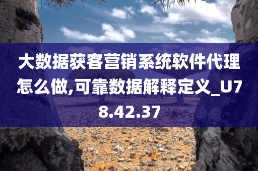 大数据获客营销系统软件代理怎么做,可靠数据解释定义_U78.42.37