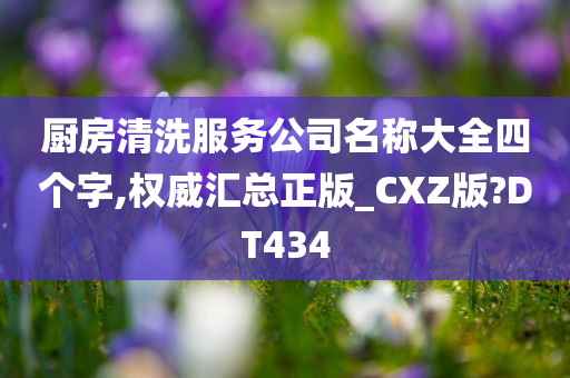 厨房清洗服务公司名称大全四个字,权威汇总正版_CXZ版?DT434