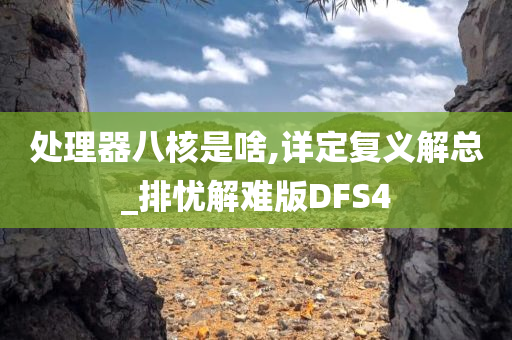 处理器八核是啥,详定复义解总_排忧解难版DFS4