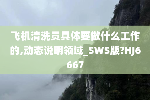 飞机清洗员具体要做什么工作的,动态说明领域_SWS版?HJ6667