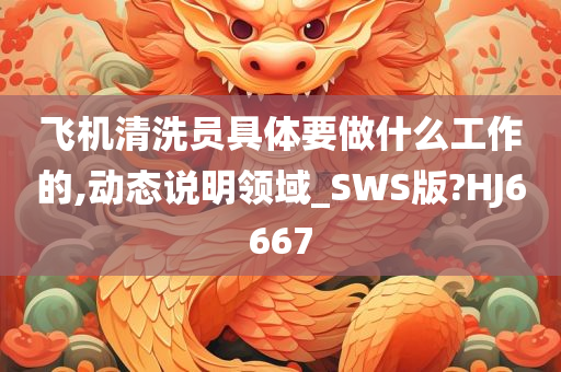 飞机清洗员具体要做什么工作的,动态说明领域_SWS版?HJ6667