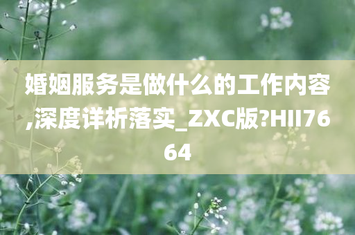 婚姻服务是做什么的工作内容,深度详析落实_ZXC版?HII7664