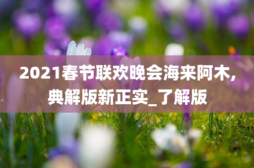 2021春节联欢晚会海来阿木,典解版新正实_了解版