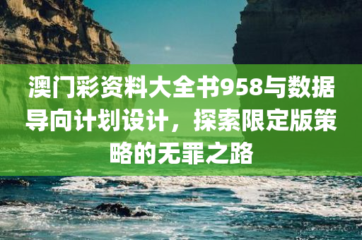 澳门彩资料大全书958与数据导向计划设计，探索限定版策略的无罪之路