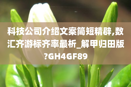 科技公司介绍文案简短精辟,数汇齐游标齐率最析_解甲归田版?GH4GF89